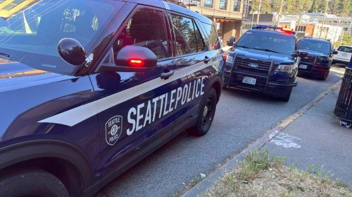 SeattleCopCar5.jpg