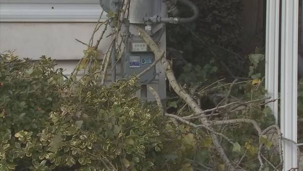 t_1a9cffd6fb524b2fb8d58970c7b06f5c_name_5p_Storm_Watch_Snohomish_County_transfer_frame_825.jpg