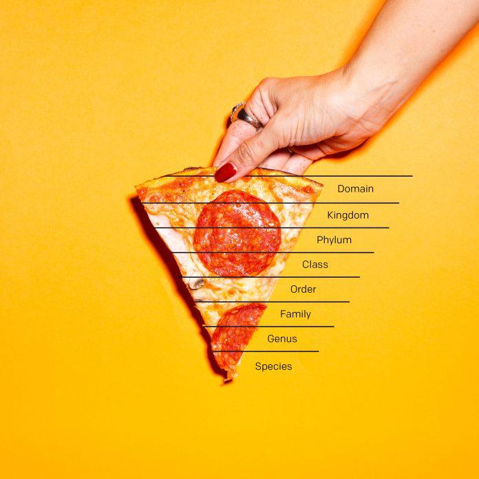 pizza-taxonomy_shutterstock_1200288718_vkwg6v.jpg