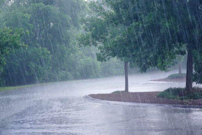 rain-stock-696x464.jpg