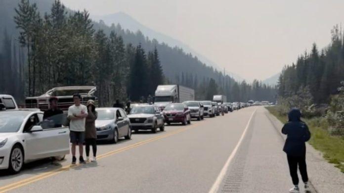 traffic-highway-1.jpg