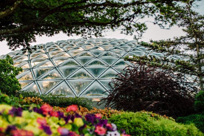 Outside the Bloedel Conservatory