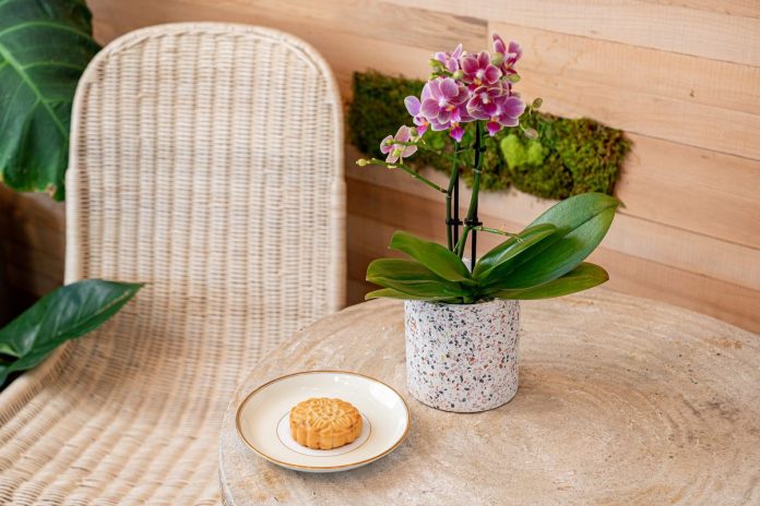 CarterHiyama_Eater_BotanicalBakeshop_30jpg