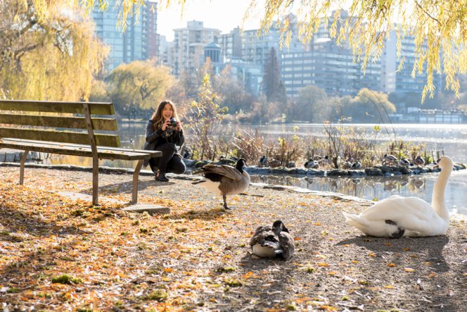A woman taking photos of ducks,
</p><p>→ Continue reading at <a target='_blank' rel=