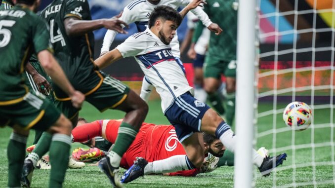 Timbers-678x381.jpeg