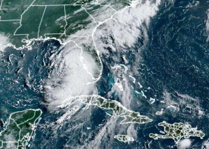 TS-Debby-800x573.jpg