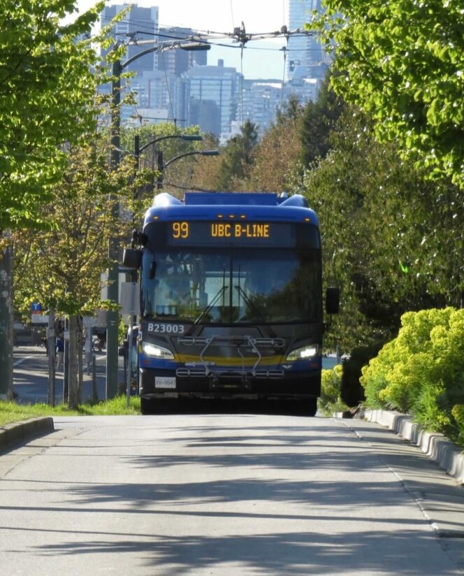 Translink-664x824.jpg