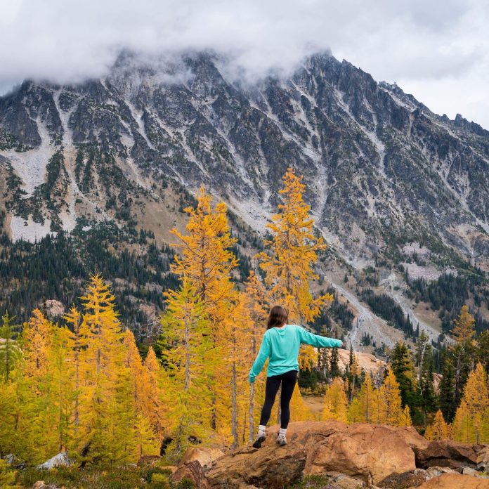 Teanaway-washington-cascades-larch_Cavan-Images-Alamy-2HWMTP0_fdebz0.jpg