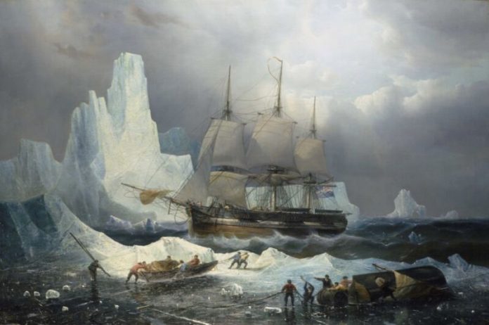 arcticTOP-800x531.jpg
