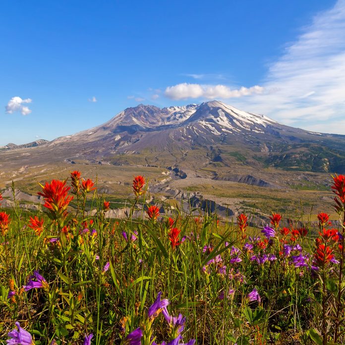iStock-814116150-helens-web_gpfd3b.jpg