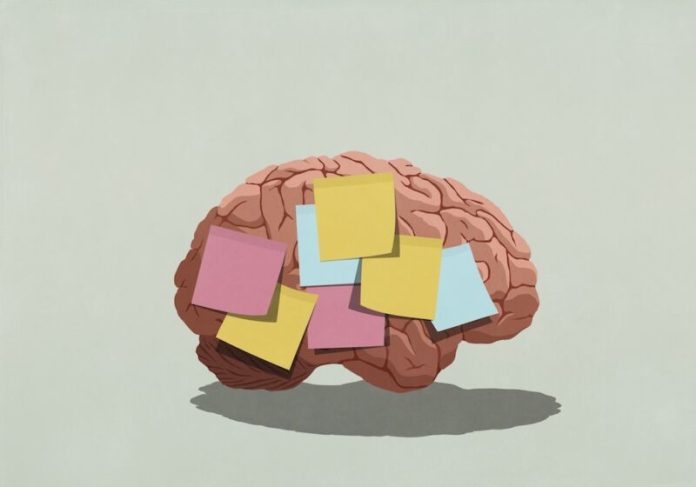 memory-800x560.jpg