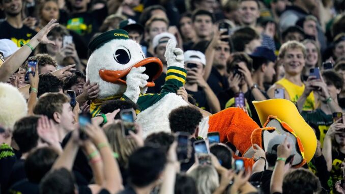 Ducks-3-678x381.jpeg
