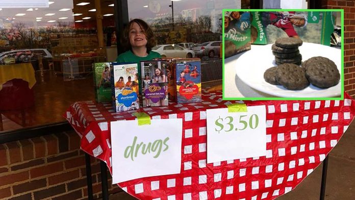 girl-scout-cookies-1200.jpg