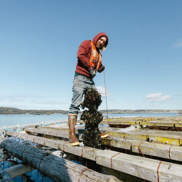 musselfest-Penn_Cove-Oysters-Kyle_Houck_kddr7k.jpg