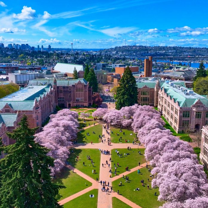 cherry-blossoms_Fei-Huang-shutterstock_1103196275_b9afjq.jpg