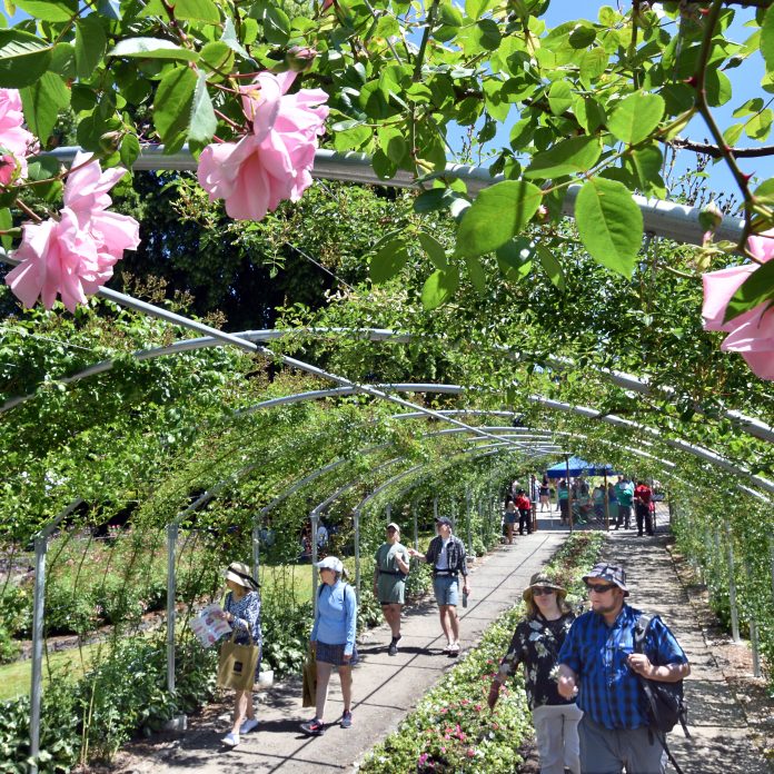 point_defiance_flower-garden-festival-june-tacoma_hsirff.jpg