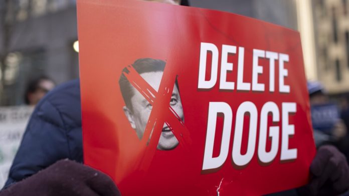 delete-doge-scaled-1152x648-1740426647.jpg