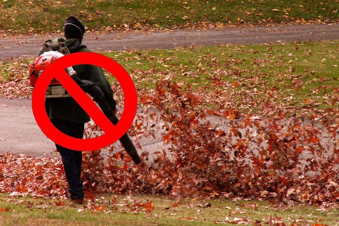 no_leaf_blowers.jpg