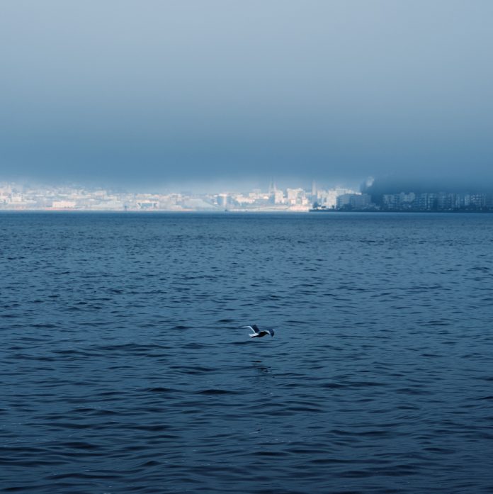 fog-seattle_Chona-Kasinger_mqb4eo.jpg
