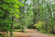 Oregon Camping Season Is Officially Underway Here Are the Campgrounds Opening This Weekend