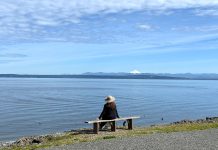 Best Things to Do in Snohomish, a Charming Area Near Seattle