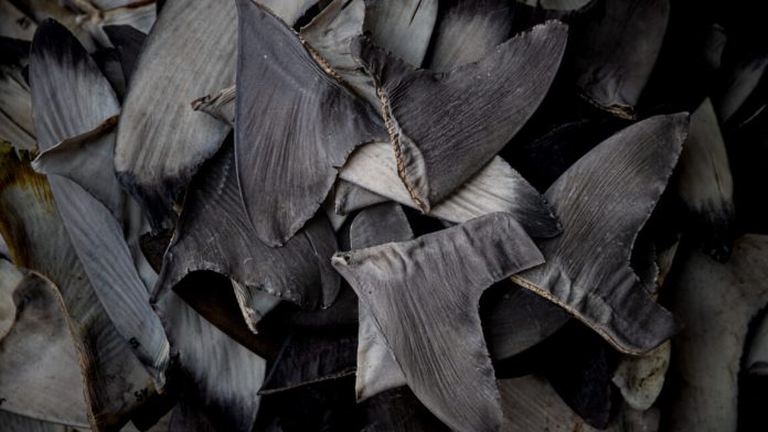 GettyImages-2240037962-1152x648.jpg