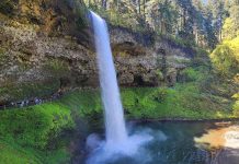 Oregonians Can Visit State Parks for Free on June 6 as Oregon Kicks Off Summer Season