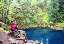 $3.4 Million to Redesign Tamolich Blue Pool Has Oregonians Asking One Question: Why?