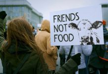 Who Is David Michelson? The Man Behind Oregon’s IP28, One of America’s Most Extreme Animal Rights Proposals